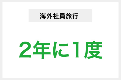 海外社員旅行